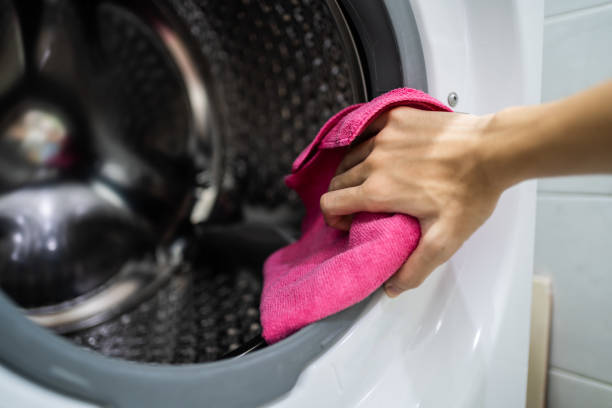 North Auburn, CA Mold Removal Company