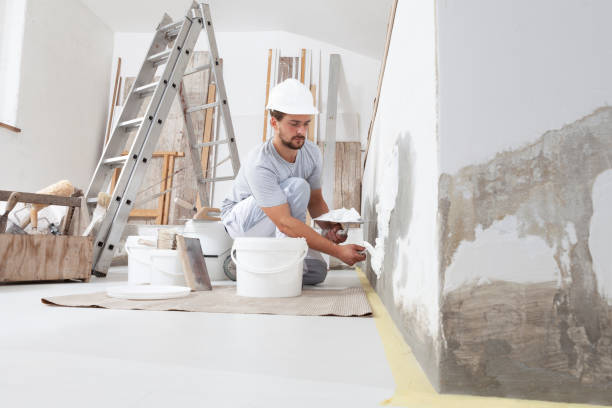 Dehumidification Services in North Auburn, CA