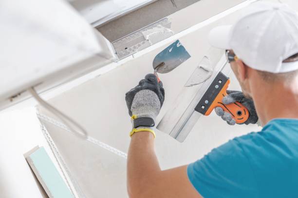 Best Attic Mold Removal  in North Auburn, CA